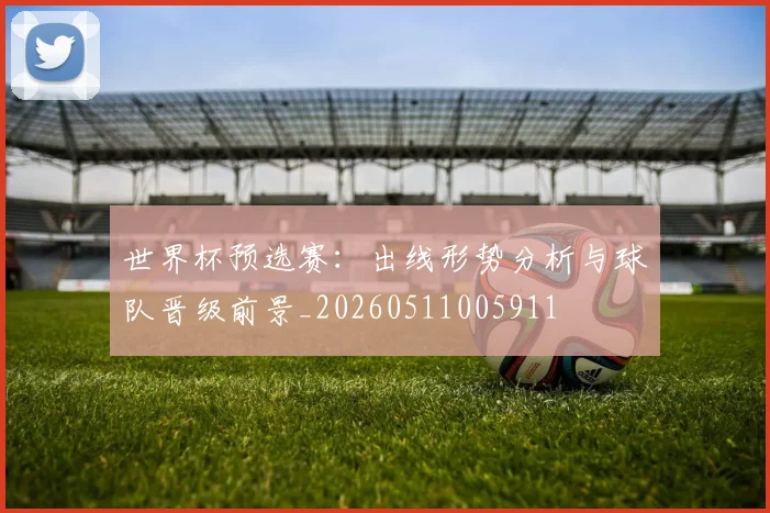 世界杯预选赛：出线形势分析与球队晋级前景_20260511005911